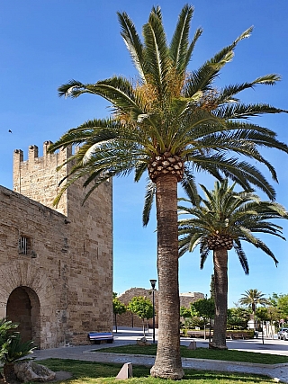 Alcúdia - historické centrum (Mallorca - Španělsko)