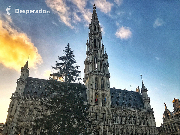 Radnice na náměstí Grand Place (Brusel - Belgie)