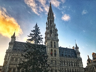 Radnice na náměstí Grand Place (Brusel - Belgie)