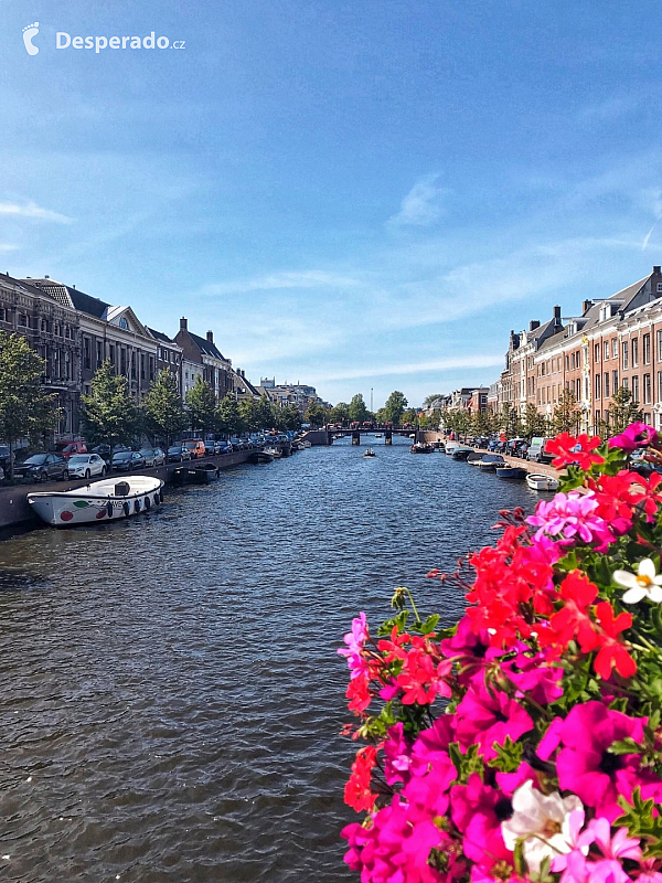 Řeka Nieuwe Gracht (Haarlem - Nizozemsko)