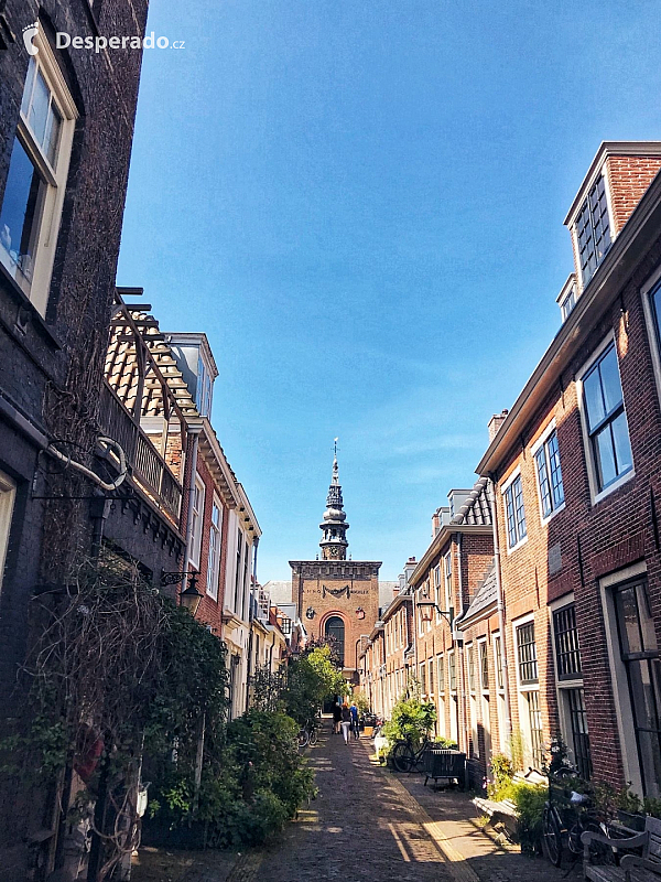 Nieuwe Kerk (Haarlem - Nizozemsko)