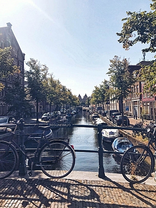 Kanál v Haarlemu (Haarlem - Nizozemsko)