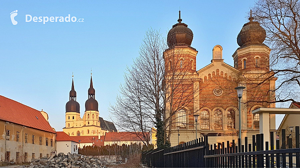 Trnava (Slovensko)