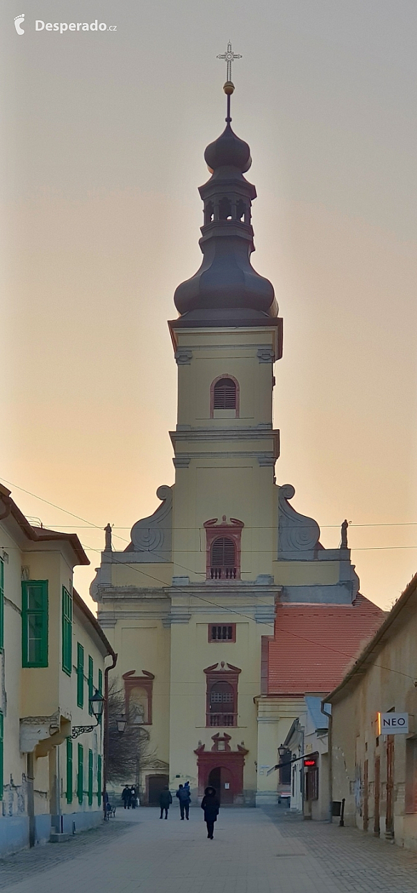 Trnava (Slovensko)