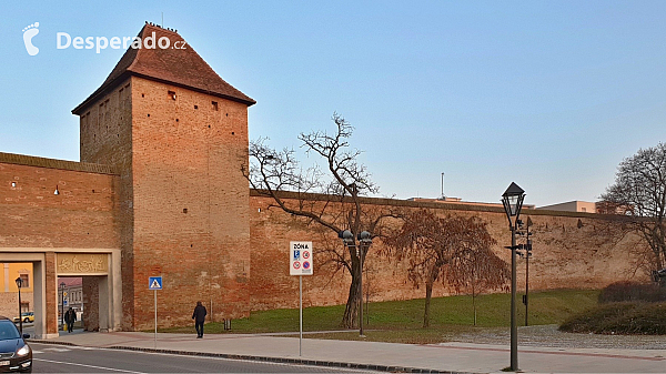 Trnava (Slovensko)