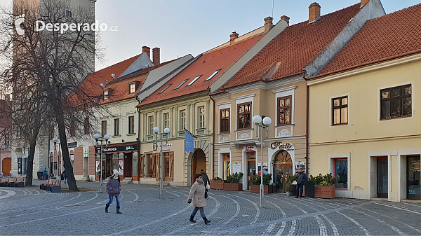 Trnava (Slovensko)