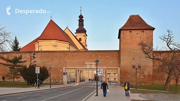 Trnava (Slovensko)