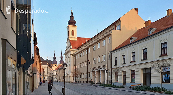 Trnava (Slovensko)