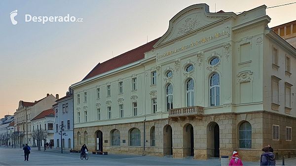 Trnava (Slovensko)