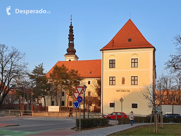 Trnava (Slovensko)