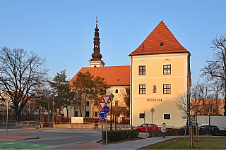 Trnava (Slovensko)