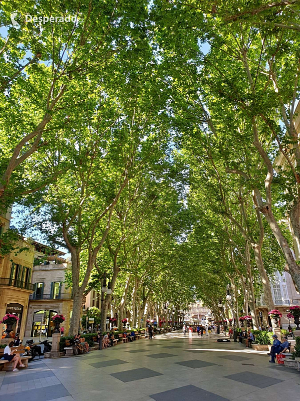 Palma de Mallorca (Španělsko)