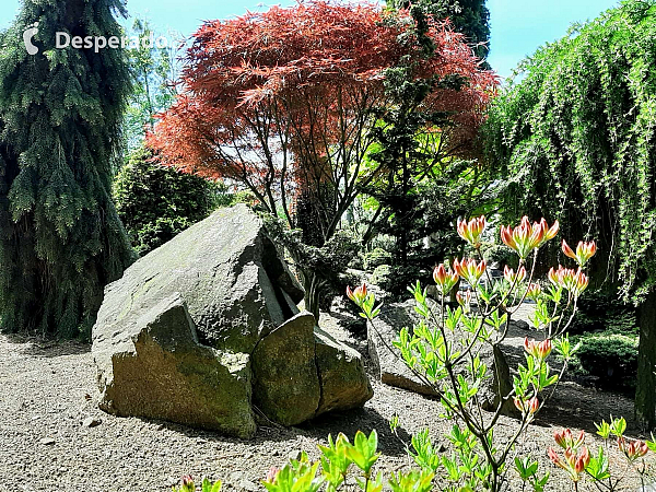 Miniarboretum u Holubů (Staříč - Česká republika)