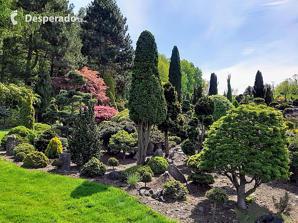 Miniarboretum u Holubů (Staříč - Česká republika)