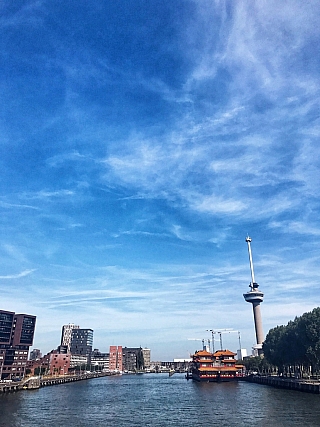 Pohled na Rotterdam (Rotterdam - Nizozemsko)