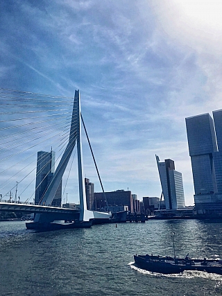 Most Erasmusburg v Rotterdamu (Rotterdam - Nizozemsko)
