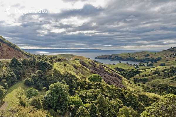 Poloostrov Coromandel (Nový Zéland)