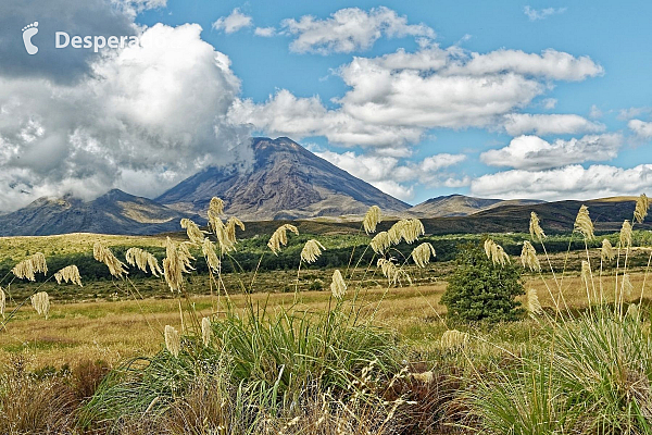 Národní park Tongariro (Nový Zéland)