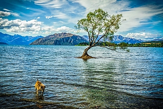 Jezero Wanaka (Nový Zéland)