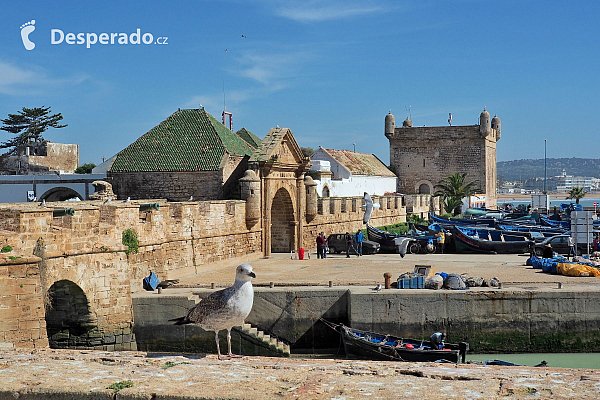 Essaouira (Maroko)