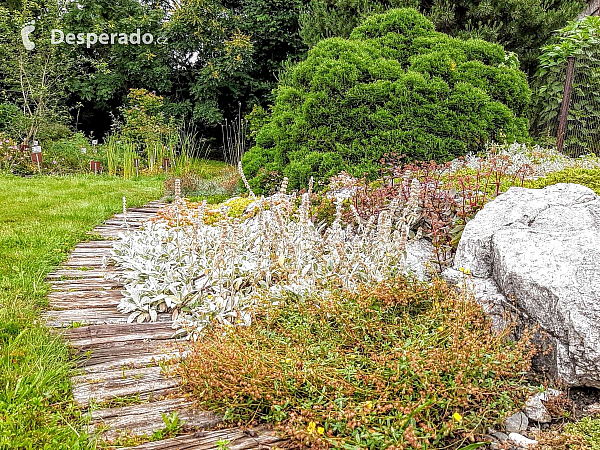 Botanická zahrada Ostravské univerzity (Ostrava - Česká republika)