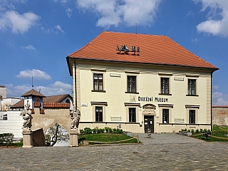 Katedrála svatého Petra a Pavla (Brno - Česká republika)