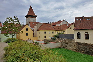 Vlkova věž ve Znojmě (Česká republika)