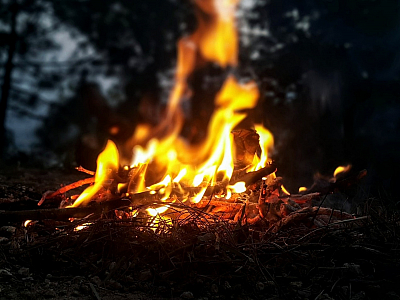 Oheň ve volné přírodě
