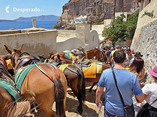 Fira na ostrově Santorini (Řecko)