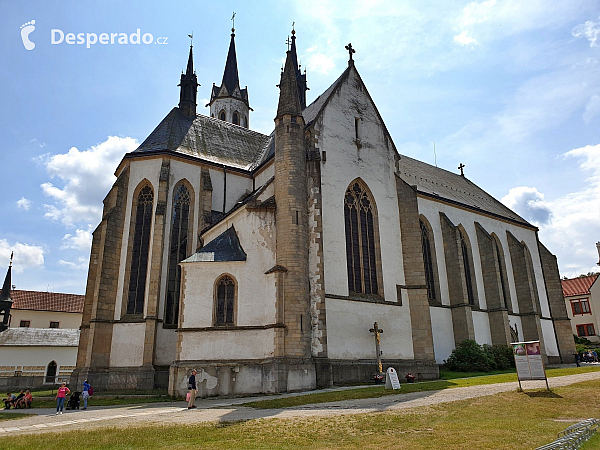 Cisterciácký klášter Vyšší Brod (Česká republika)