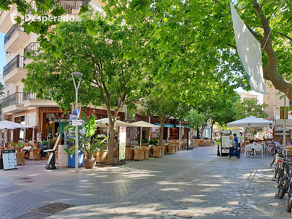 Port de Pollenca na ostrově Mallorka (Španělsko)