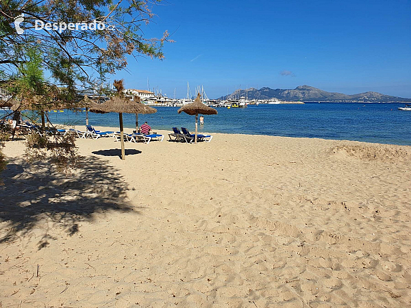 Port de Pollenca na ostrově Mallorka (Španělsko)