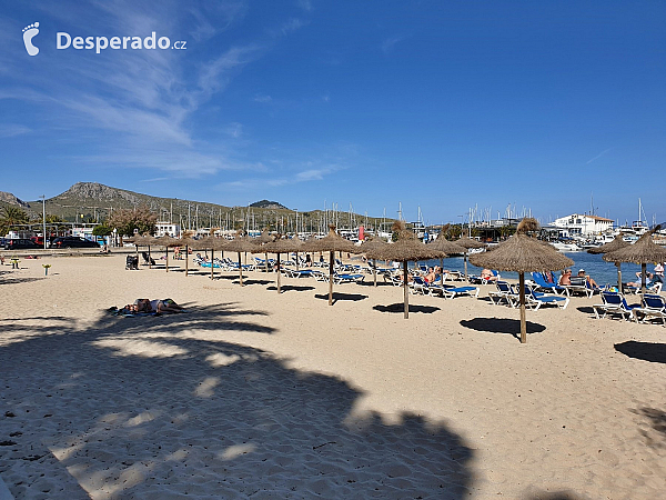 Port de Pollenca na ostrově Mallorka (Španělsko)