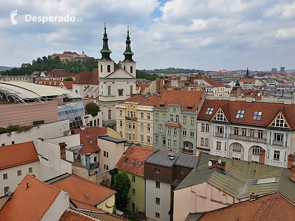 Stará radnice a výhled z radniční věže (Brno - Česká republika)