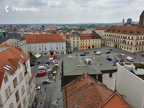 Stará radnice a výhled z radniční věže (Brno - Česká republika)