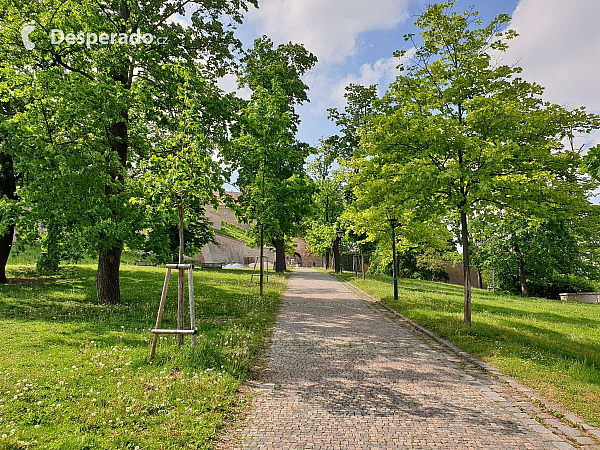 Hrad Špilberk (Brno - Česká republika)