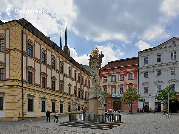 Zelný trh (Brno - Česká republika)