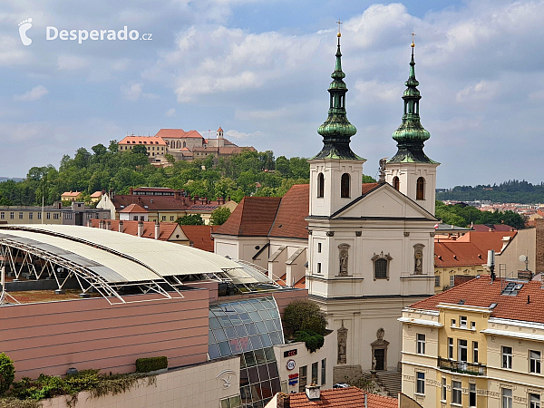 Stará radnice a výhled z radniční věže (Brno - Česká republika)