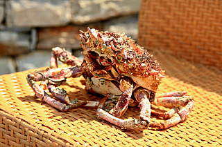 Bastia (Korsika - Francie)