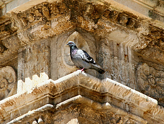 León (Kastilie a León - Španělsko)