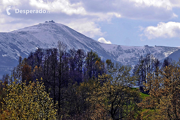 Krkonoše (Česká republika)