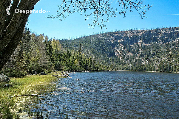 Šumava (Česká republika)