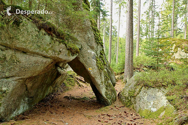 Šumava (Česká republika)