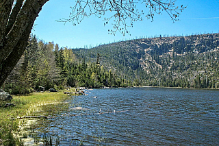Šumava (Česká republika)