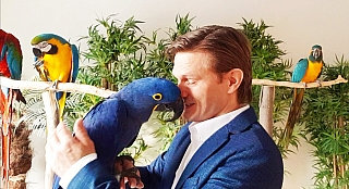 Království papoušků