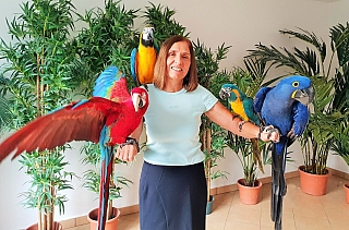 Království papoušků