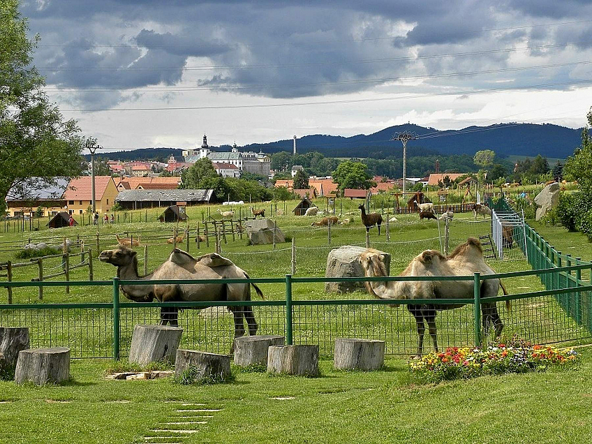 Farma Wenet na Broumovsku