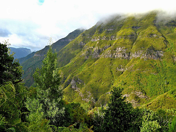 Levada de Risco (Madeira - Portugalsko)