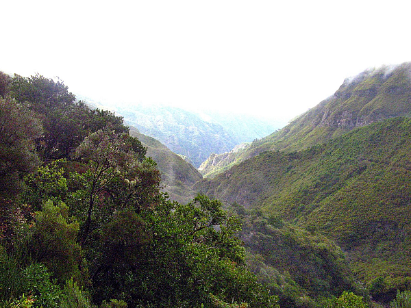 Levada de Risco (Madeira - Portugalsko)