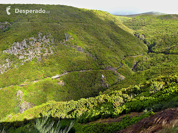 Levada de Risco (Madeira - Portugalsko)